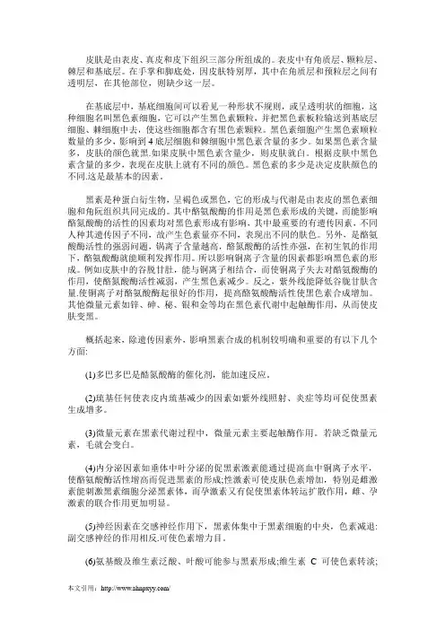 皮肤的颜色是由什么决定的