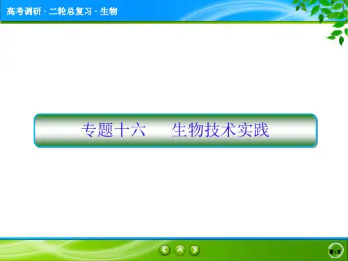 2020高考生物二轮总复习专题十六  生物技术实践-精校