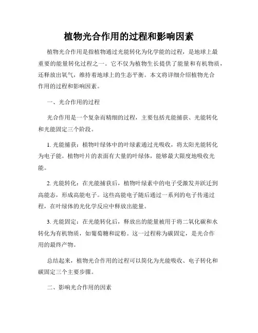 植物光合作用的过程和影响因素