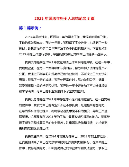 2023年司法年终个人总结范文8篇