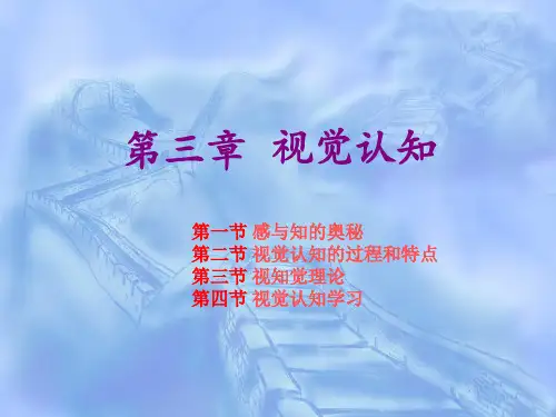 第三章 视觉认知