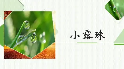 新苏教版三年级语文上册15课件.小露珠