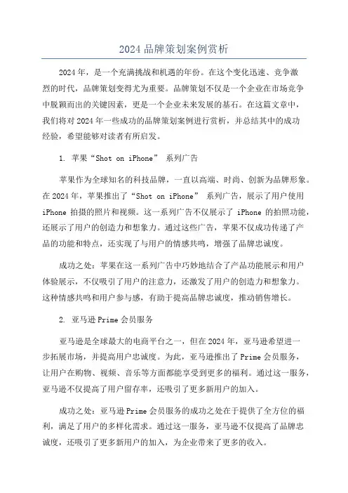 2024品牌策划案例赏析