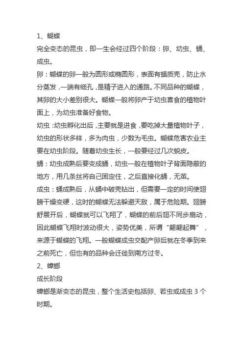 昆虫发育的四个阶段