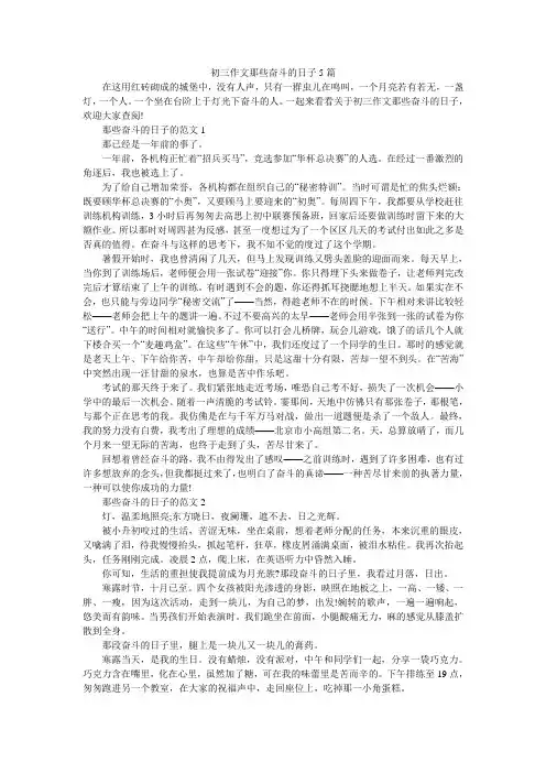 初三作文那些奋斗的日子5篇