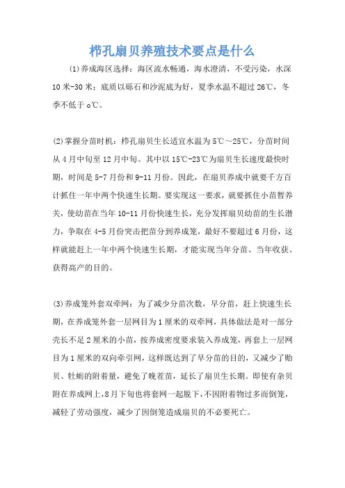 栉孔扇贝养殖技术要点是什么