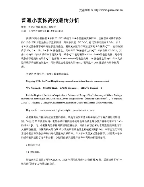 普通小麦株高的遗传分析