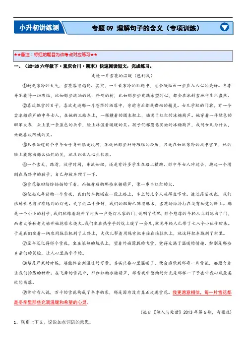 专题09 理解句子的含义(专项训练)(解析版)-小升初语文复习(统编版)
