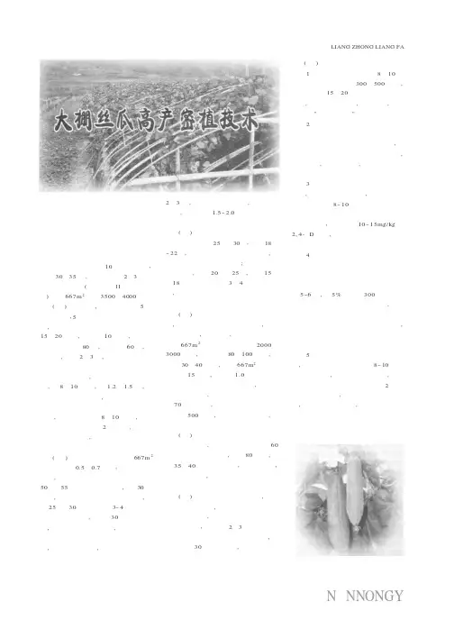 大棚丝瓜高产密植技术