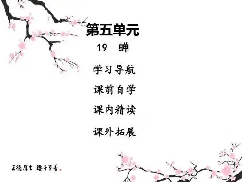【最新】人教部编版八年级上册语文课件：19  蝉(共33张PPT)