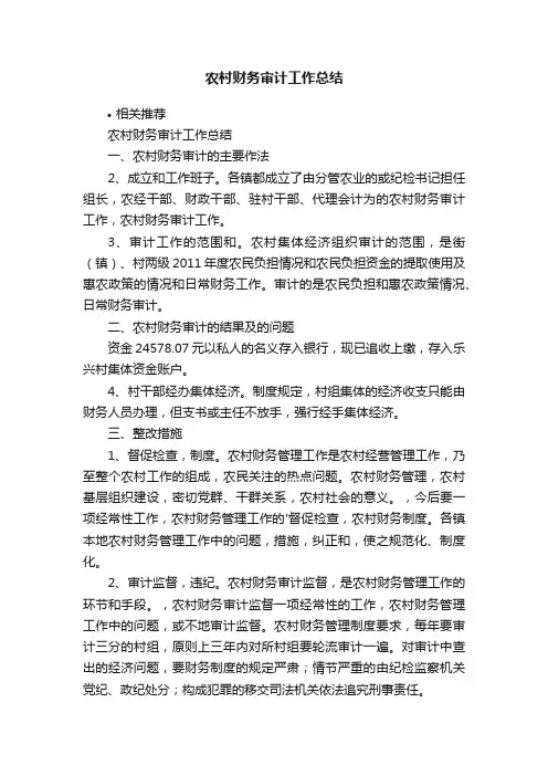 农村财务审计工作总结