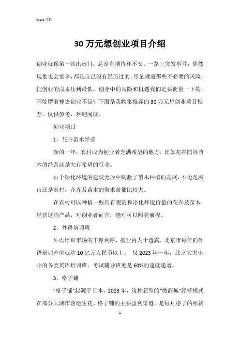 30万元想创业项目介绍