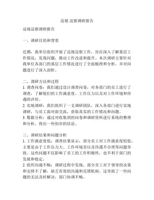巡视 巡察调研报告