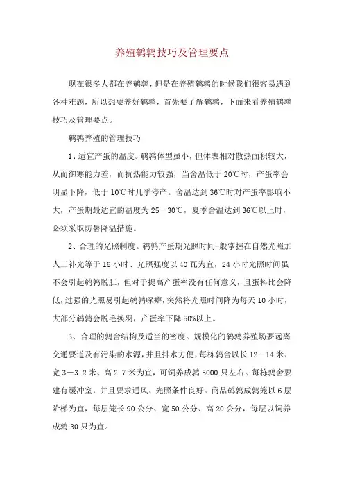 养殖鹌鹑技巧及管理要点