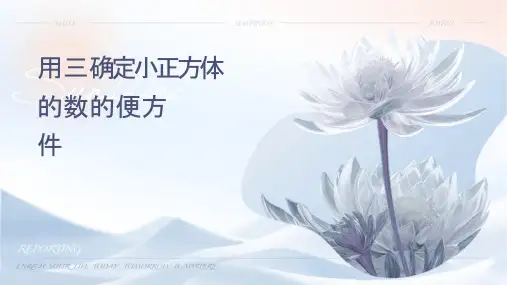 旅游APP项目策划方案课件