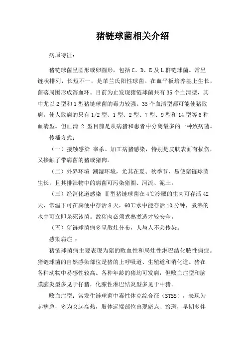 猪链球菌