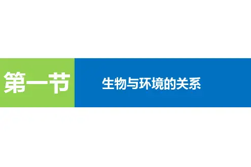 光对鼠妇生活的影响课件人教版生物七年级上册