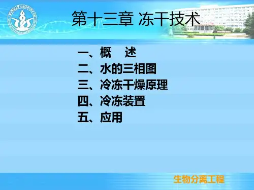 12生物分离工程技术(冷冻干燥技术) PPT课件