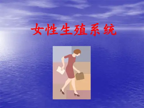 解剖学之女性生殖系统 ppt课件