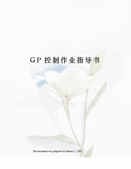GP控制作业指导书