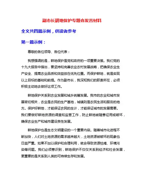 副市长耕地保护专题会发言材料