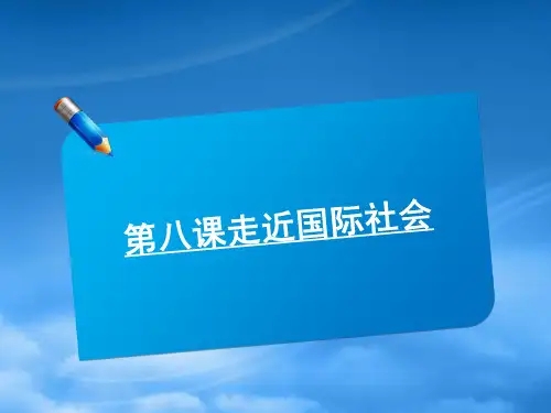 高考政治复习 4.8走近国际社会同步课件 新人教必修2