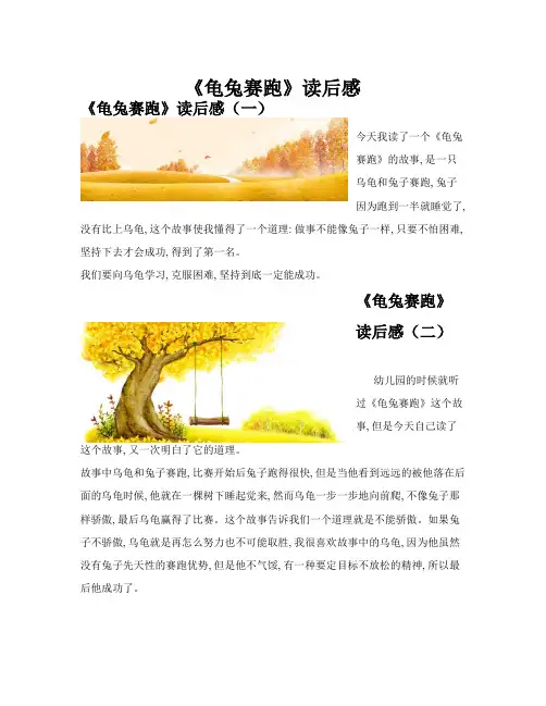 《龟兔赛跑》读后感(共10篇)