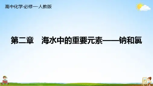 人教版高中化学 必修一 第二章 总复习 练习题教学课件PPT中学公开课