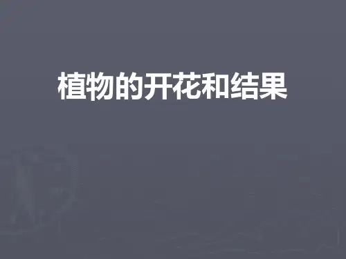 《植物的开花和结果》PPT