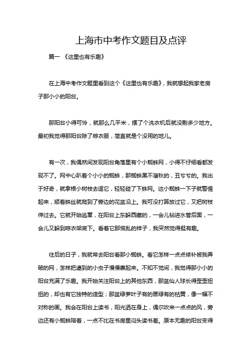 上海市中考作文题目及点评