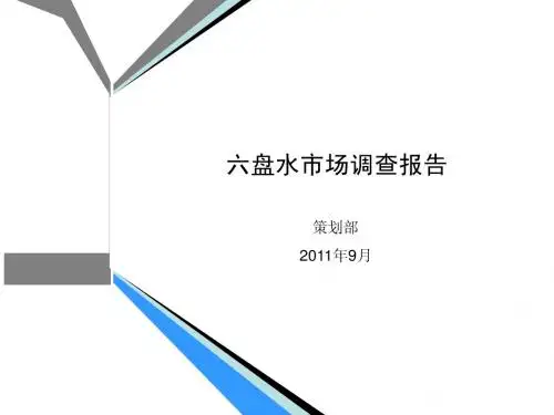 六盘水市场调查报告