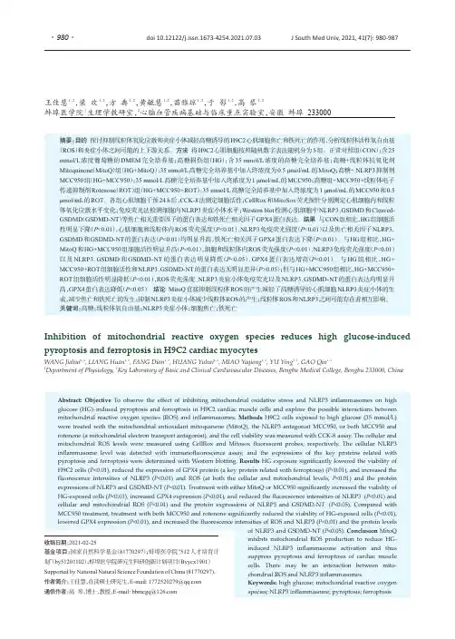 抑制线粒体活性氧自由基可减轻高糖诱导的心肌细胞焦亡和铁死亡