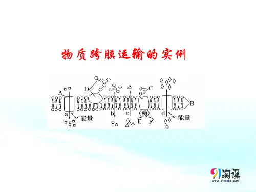 原创11：4.1 物质跨膜运输的实例