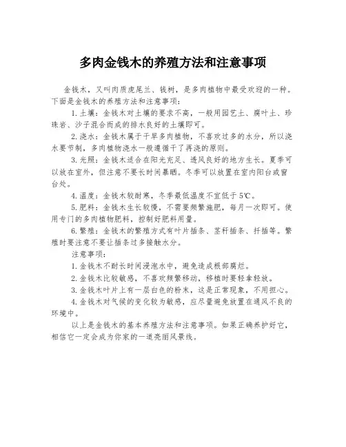 多肉金钱木的养殖方法和注意事项
