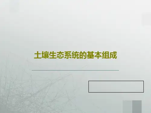 土壤生态系统的基本组成共55页PPT
