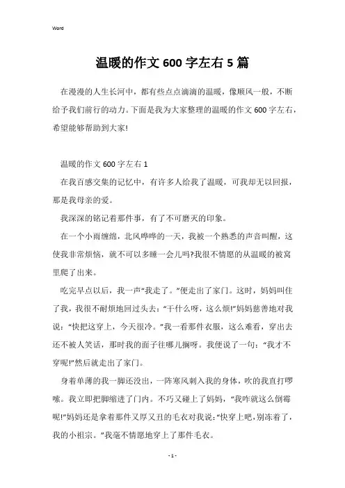 温暖的作文600字左右5篇