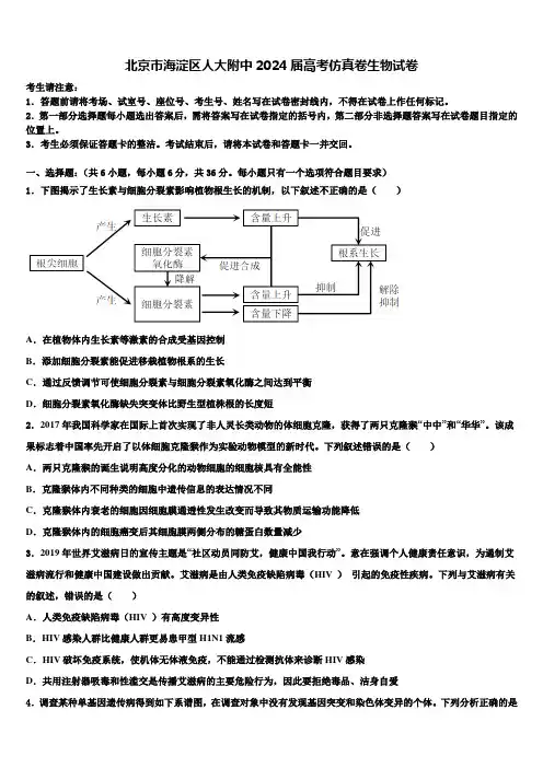 北京市海淀区人大附中2024届高考仿真卷生物试卷含解析