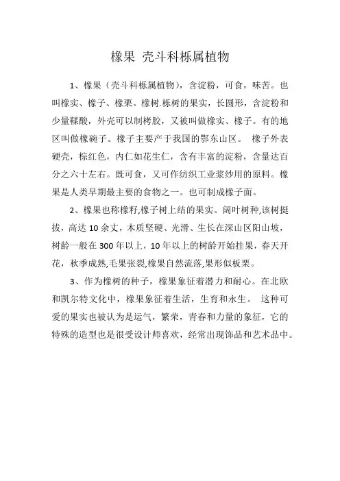 橡果 壳斗科栎属植物