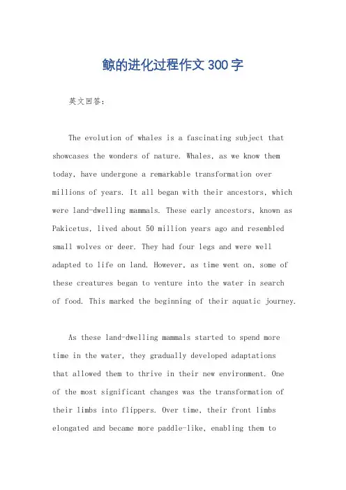 鲸的进化过程作文300字