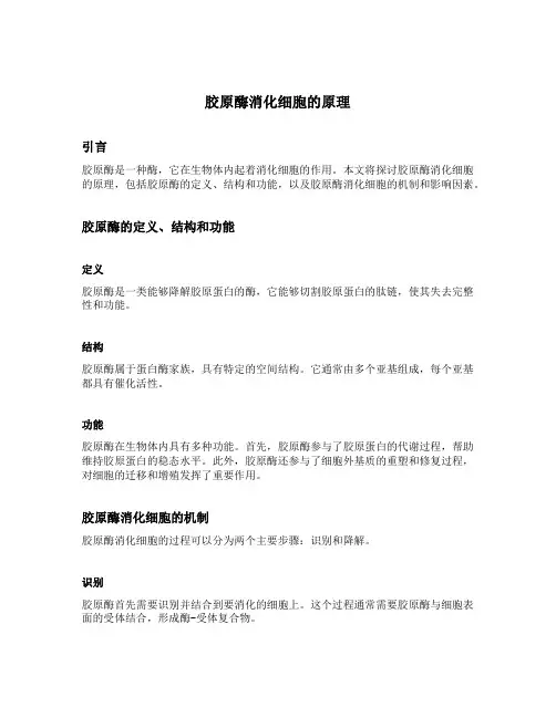 胶原酶消化细胞的原理