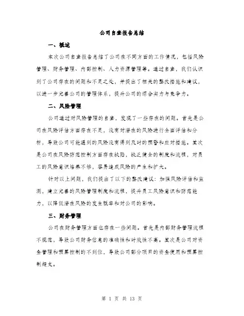 公司自查报告总结（4篇）