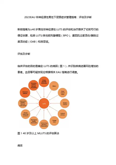 2023EAU非神经源性男性下尿路症状管理指南：评估及诊断