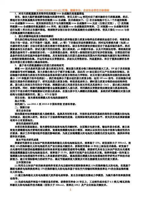 973项目计划书