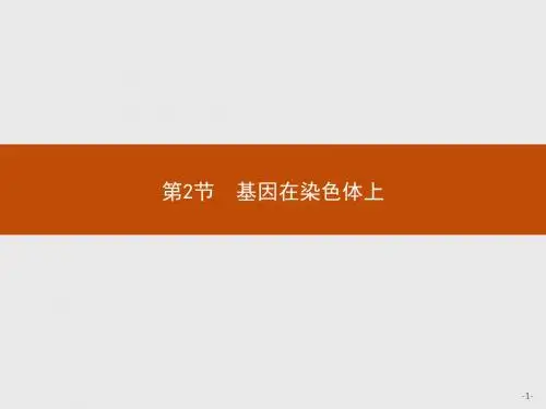 基因和染色体的关系 PPT课件6 人教课标版1