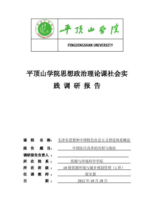 思想政治理论课社会实践调研报告