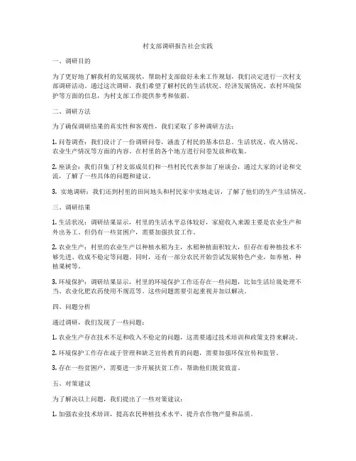 村支部调研报告社会实践