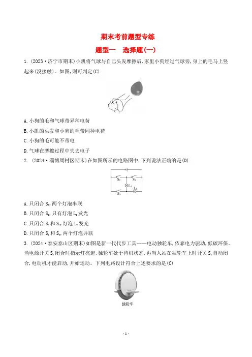 2024年鲁科版五四制九年级上册物理期末复习题型一 选择题(一)