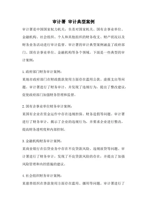 审计署 审计典型案例
