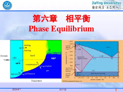 物理化学-第六章,相平衡-164