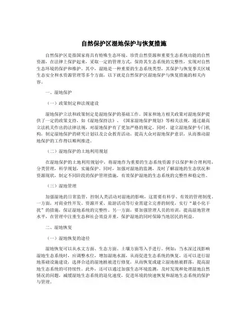 自然保护区湿地保护与恢复措施